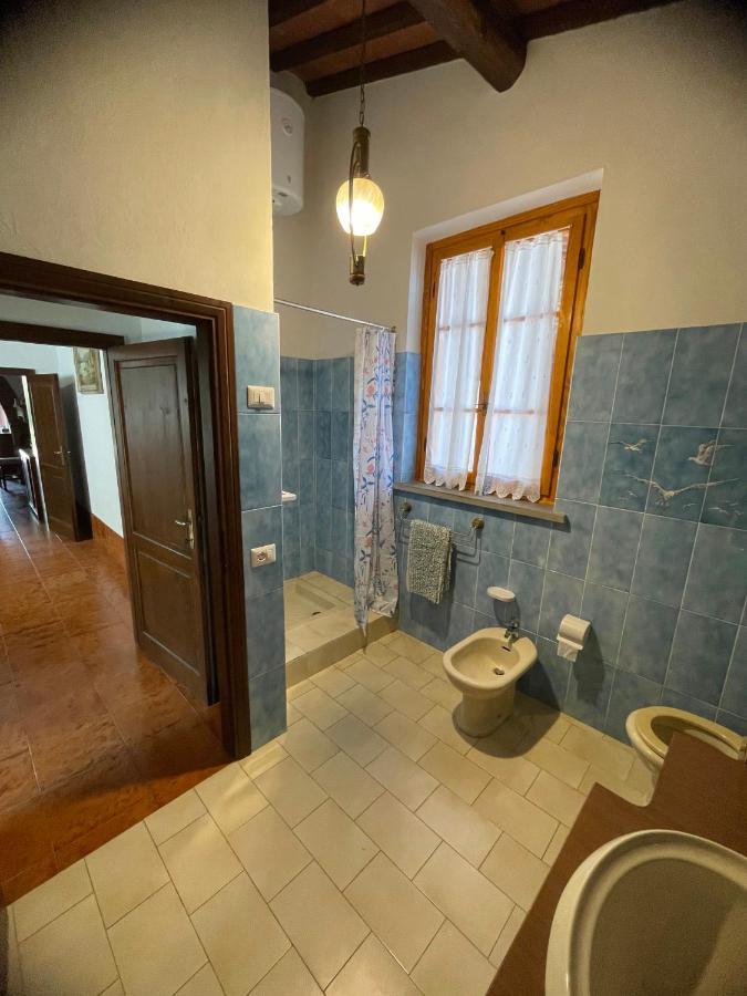 Maison Antoinette San Vincenzo Exteriör bild